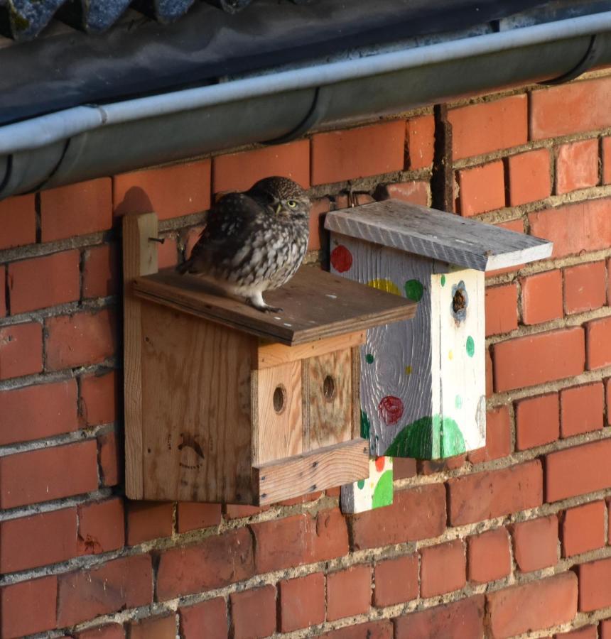 Ferienwohnung Kreativhof Lehmberg Hamminkeln Exterior foto